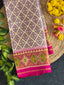 Fancy Design Handwoven Patola Silk Saree