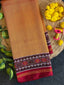 Plain Gala Border With Designer Blouse Handwoven Patola Silk Saree