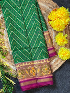 Laheriya Zigzag Handwoven Patola Silk Saree